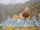 Machu-Picchu-020